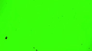 Yeşil ekran 4k üzerinde eski çizikler ve tahıl dokusu örtüsü