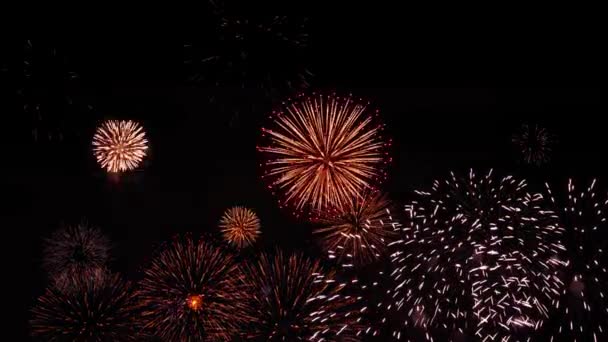 Όμορφη Γιορτή Χαιρετισμό Πυροτεχνήματα Πολύχρωμα Πυροτεχνήματα Αφηρημένο Φόντο Επέτειο Γιορτή — Αρχείο Βίντεο