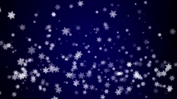 Winter Snowflakes Falling Slowly Blue Festive Snowflakes Winter Blue Background — Stock Video