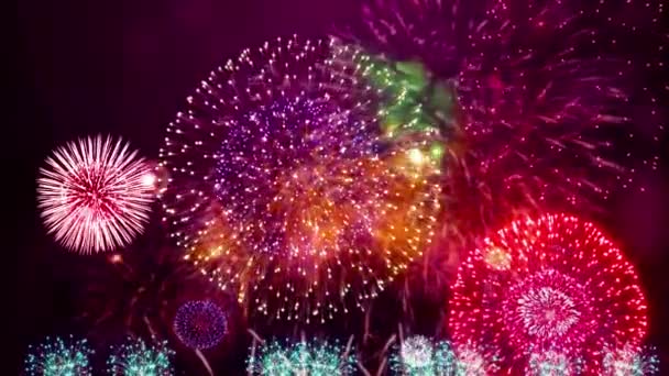 Όμορφη Γιορτή Χαιρετισμό Πυροτεχνήματα Πολύχρωμα Πυροτεχνήματα Αφηρημένο Φόντο Επέτειο Γιορτή — Αρχείο Βίντεο