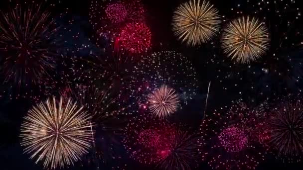 Silvesterfeuerwerk Feier Echtes Feuerwerk Hintergrund Abstrakte Multicolor Golden Leuchtende Feuerwerk — Stockvideo
