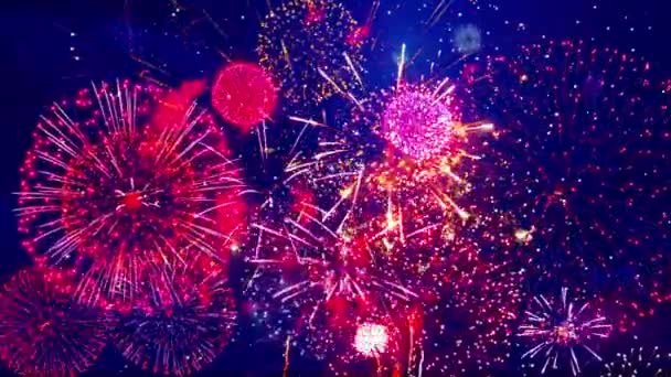 2024 New Years Eve Fireworks Show Celebration Background Golden Shining — Stock Video