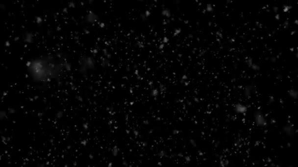 Zimowe Wakacje Płatki Śniegu Realistyczny Spadek Czarnym Tle Śnieg Pada — Wideo stockowe