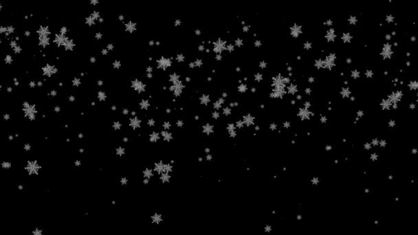 Многие Белые Снежинки Падают Чёрно Синем Фоне Рождеством Христовым Праздник — стоковое видео