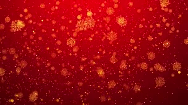 Snow Particles Winter Christmas Falling Snow Background Merry Christmas Holiday — Stock Video