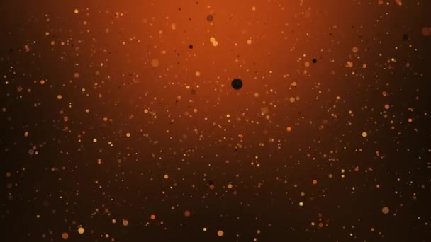 Animation Abstract Festive Motion Background Particle Bokeh Dust Light Rising — Stock Video