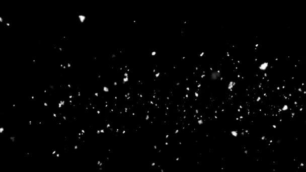 Концепция Зимнего Белого Снега Капли Дождя Снег Черном Фоне Морозный — стоковое видео