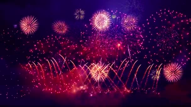 Прекрасный Праздник Приветствие Фейерверки Красочные Фейерверки Абстрактный Фон Юбилей Празднование — стоковое видео