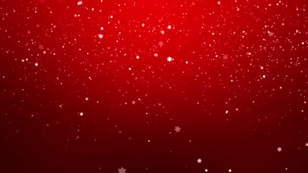 Flocos Neve Flocos Neve Queda Férias Inverno Feliz Natal 2024 — Vídeo de Stock