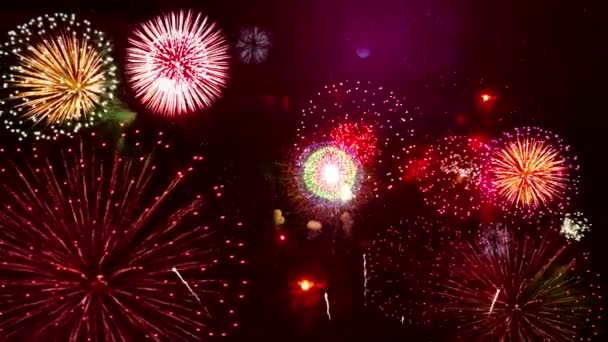 2024 Πρωτοχρονιάτικα Πυροτεχνήματα Δείχνουν Εορταστικό Υπόβαθρο Χρυσά Λαμπερά Φώτα Bokeh — Αρχείο Βίντεο