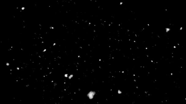 Сніжинки Чистому Чорному Анімаційному Копіювальному Фоні Сніжинки Зимові Різдвяні Канікули — стокове відео