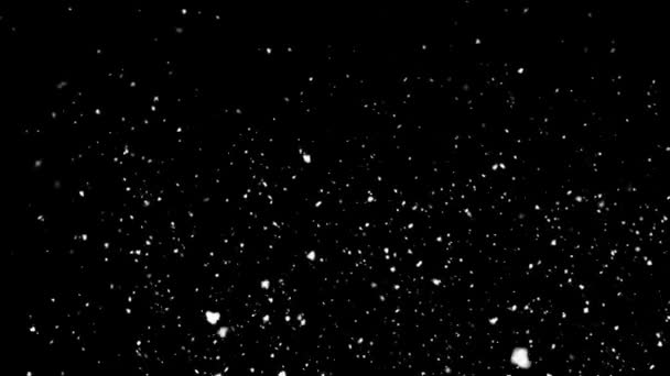 Легко Падающий Снег Снежинки Падают Ветер Зимний Фон Накладывается Рождество — стоковое видео