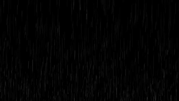 Βροχή Πέφτει Στο Μαύρο Φόντο Πέφτει Νερό Φυσικές Βροχοπτώσεις Βροχή — Αρχείο Βίντεο