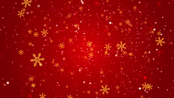 Christmas Confetti Snowflakes Bokeh Lights Background 2024 New Year Holiday — Stock Video
