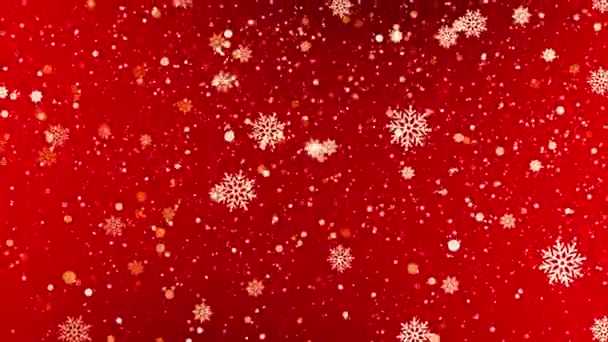 Płatki Śniegu Spadające Płatki Śniegu Wakacje Zima Wesołych Świąt 2024 — Wideo stockowe