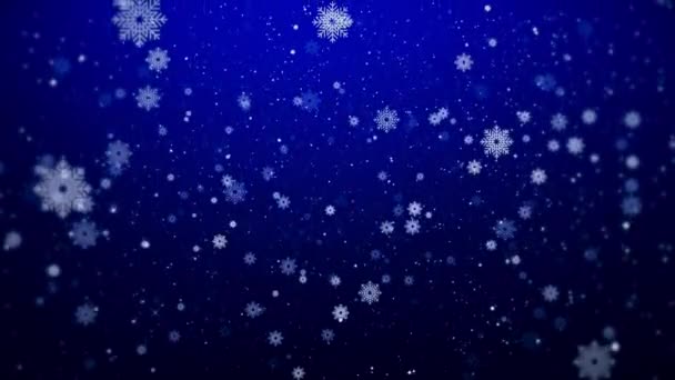 Sněhové Vločky Padající Sněhové Vločky Dovolená Zima Veselé Vánoce 2024 — Stock video