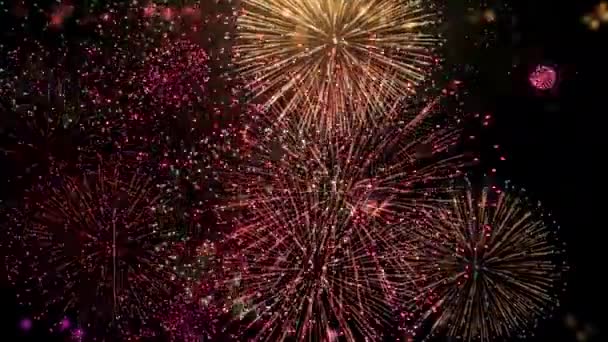 Világos Színes Karácsonyi Tűzijáték Szürkületi Nyaralás Háttér Tűzijáték Csillagok Háttér — Stock videók