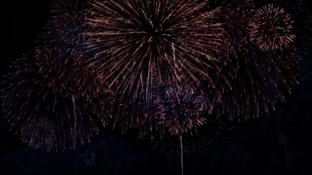 Abstract Meerkleurig Goudkleurig Gloeiend Vuurwerk Toont Bokeh Lichten Nachtelijke Hemel — Stockvideo