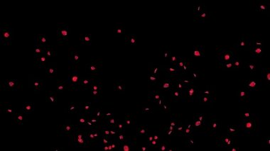 Romantik Düşen Pembe Gül Yaprakları Kiraz Çiçeği arka planı. Nişan, Evlilik, Kutlama, Sevgililer Günü, Anne, Selamlama, Davetiye, Doğum Günü, Güzellik, Tutku. kirazlı sakura.