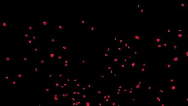 Romantico Caduta Vorticoso Rosa Petali Rosa Cherry Blossom Sfondo Fidanzamento — Video Stock