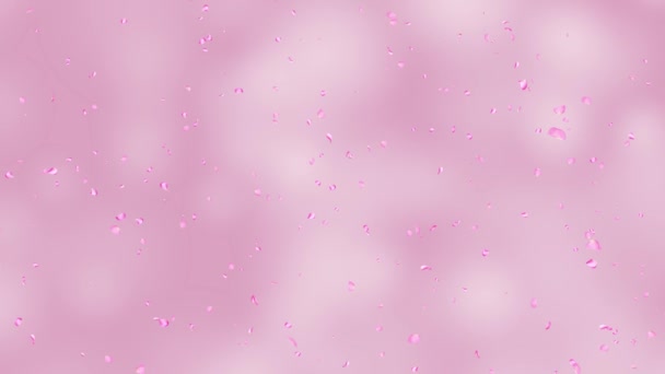 Pétales de rose 4K Chute d'animation réaliste tombant pétales de rose. Vous pouvez remplacer le fond. fiançailles, Mariage, Vacances, Beauté, Mode, Romantique, Valentin, Musique, Mémorial de Mariée du Festival