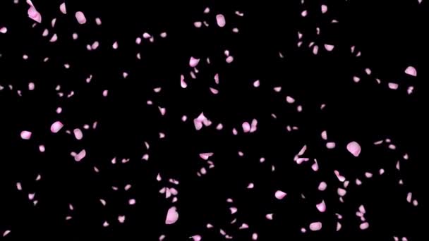 Abstracto Cae Pétalos Rosa Roja Confeti Estacional Flor Volando Pétalos — Vídeos de Stock