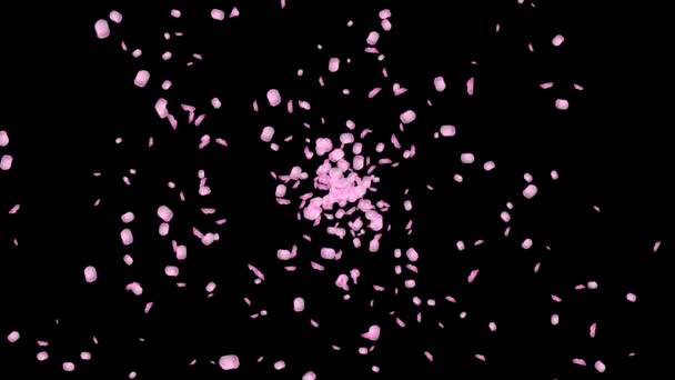 Romântico Rosa Rosa Sakura Flor Pétalas Caindo Fluxo Cópia Espaço — Vídeo de Stock