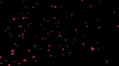 Romantik Düşen Pembe Gül Yaprakları Kiraz Çiçeği arka planı. Nişan, Evlilik, Kutlama, Sevgililer Günü, Anne, Selamlama, Davetiye, Doğum Günü, Güzellik, Tutku. kirazlı sakura.