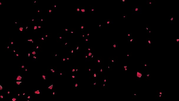 Romantikus Falling Örvénylő Rózsaszín Rózsaszirmok Cseresznyevirág Háttér Eljegyzés Házasság Ünnepség — Stock videók