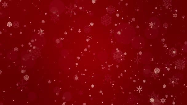 Streszczenie Zimy Cząstki Płatkami Śniegu Świąteczne Animowane Święta Tło Biały — Wideo stockowe