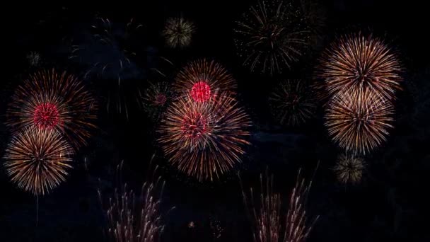 Igazi Tűzijáték Ünnepség Fesztivál Háttér Elvont Éjszakai Égbolt Ragyogó Bokeh — Stock videók
