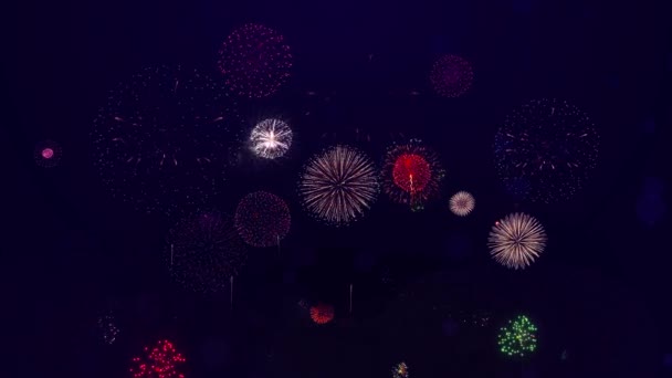 Fogos Artifício Coloridos Brilhantes Com Luzes Bokeh Fogos Artifício Estão — Vídeo de Stock