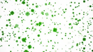 Aziz Patrick Günü Yaprak Yeşil Arkaplan Tasarımı. İrlanda Bira Festivali Bayram İllüstrasyonunu Kutlama Kartı için Shamrock Parti Davetiyesi. parti konseri Davetiyesi Tasarım, Şanslı başarı.,