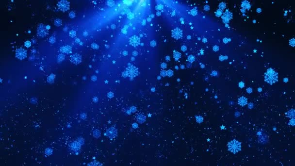 Feiern Sie Weihnachten Einladungskarte Schneeflocken Winter Hintergrund Fallende Schneeflocken 2024 — Stockvideo