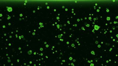 Aziz Patrick Günü Yaprak Yeşil Arkaplan Tasarımı. İrlanda Bira Festivali Bayram İllüstrasyonunu Kutlama Kartı için Shamrock Parti Davetiyesi. parti konseri Davetiyesi Tasarım, Şanslı başarı.,