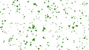 Yonca yapraklı Aziz Patrick Günü Tasarımı yeşil arka planda İrlanda baharını terk ediyor. İrlanda Bira Festivali Kutlama Tatili. Aziz Patrick Günü tebrik kartı. Patrick Day 'in bar partisi