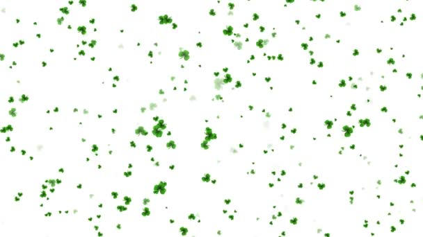 Saint Patricks Day Design Clover Leaf Grass Leaves Ialand Spring — стоковое видео