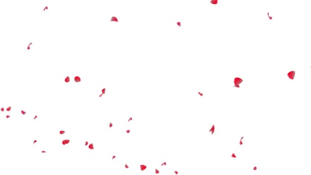 Случайные Лепестки Роз Фоне Зеленого Экрана Отлично Подходит Презентаций Форм — стоковое видео