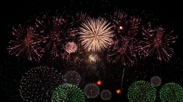 Coloridos Fuegos Artificiales Celebraciones Noche Felicidad Marco Fuegos Artificiales Del — Vídeo de stock