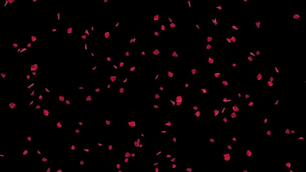 Romantische Vallende Wervelende Roze Rozenblaadjes Cherry Blossom Achtergrond Verloving Huwelijk — Stockvideo