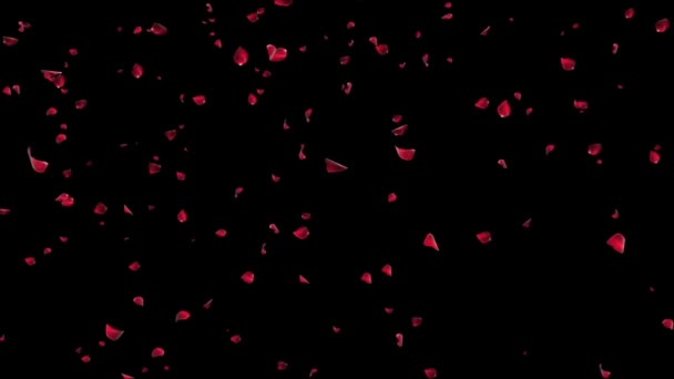 Červené Okvětní Lístky Růží Déšť Padající Zelenou Obrazovku Romantické Dekorace — Stock video