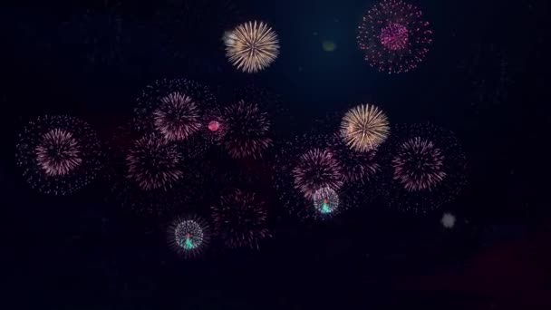 Coloridos Fuegos Artificiales Celebraciones Noche Felicidad Marco Fuegos Artificiales Del — Vídeos de Stock