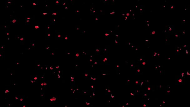 粉红浪漫的玫瑰花瓣为情人节 母亲节 结婚周年贺卡 请柬生日电子卡 视觉效果 运动标志显示3D — 图库视频影像