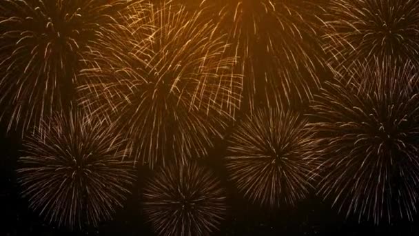 Real Fireworks Display Celebration Colorful New Year Firework Holiday Festival — Stock Video