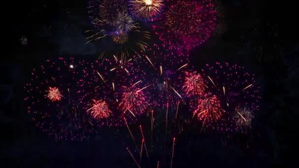 Nyår Eve Fyrverkerier Show Explosion Display Sky Night Sömlös Loop — Stockvideo