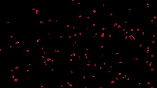 Abstrak Kelopak Mawar Merah Mawar Musiman Confetti Mekar Terbang Kelopak — Stok Video