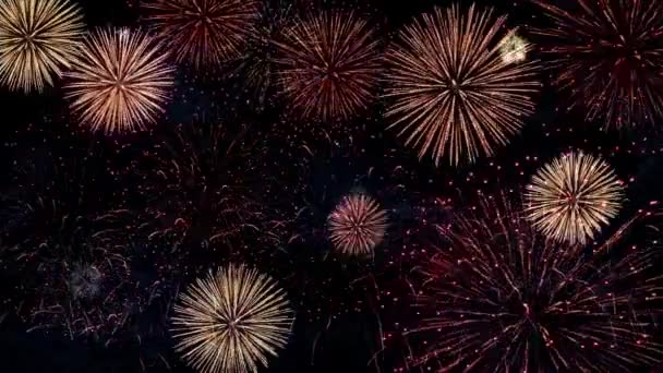 Explosión Fuegos Artificiales Colores Reales Fondo Del Cielo Oscuro Festival — Vídeos de Stock