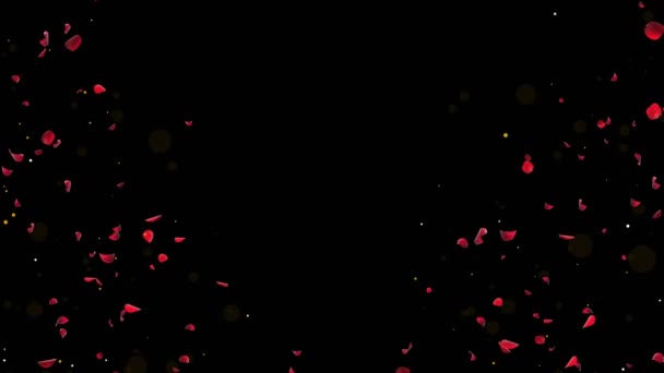 Abstrakcyjne Spadające Płatki Czerwonej Róży Sezonowe Konfetti Latające Kwiaty Czerwone — Wideo stockowe