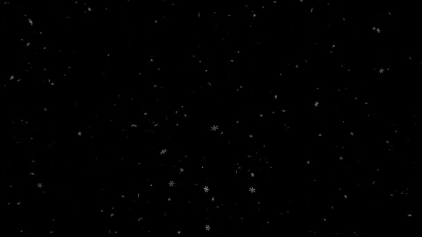 Abstracte Winterdeeltjes Met Sneeuwvlokken Kerstmis Geanimeerde Feestdagen Achtergrond Witte Glitter — Stockvideo