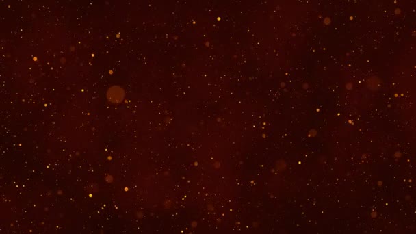 Αφηρημένη Αφηρημένη Sparkling Χρυσή Εορταστική Bokeh Φόντο Animation Εορταστική Κίνηση — Αρχείο Βίντεο